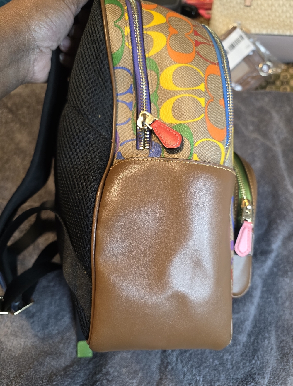 Coach Rainbow Signature Backpack - Multicolor - Picture 9 of 14